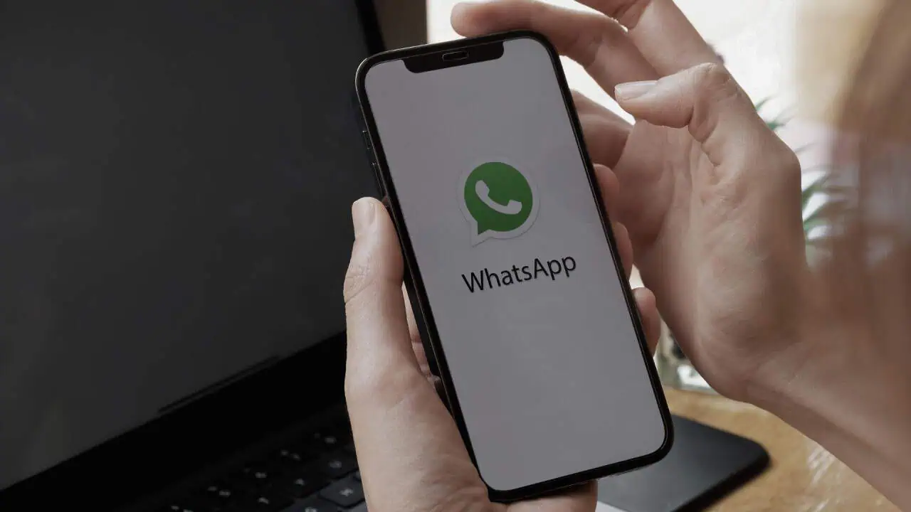 cek tagihan pajak via WA